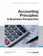 Accounting Principles: A Business Perspective (Financial) Chapters 1-8