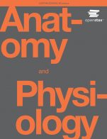 Image of the cover of an example eBook, Anatomy and Physiology, which is accessible through the SkillsCommons repository.